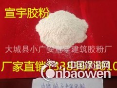 山东济宁市砂浆胶粉图3