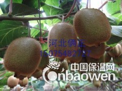 葡萄架搭架钢丝 猕猴桃架搭架2.6mm专用钢丝图2