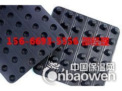 东营市塑料排水板图3