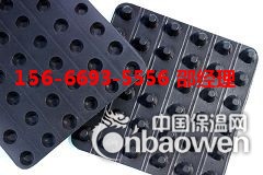 枣庄市屋顶排水板