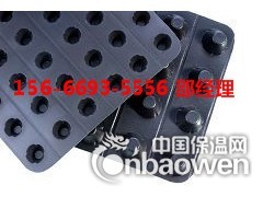 枣庄市屋顶排水板图3