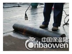 北京海淀区专业防水楼顶屋顶阳台防水方法探讨图3