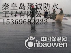 秦皇岛防水图3