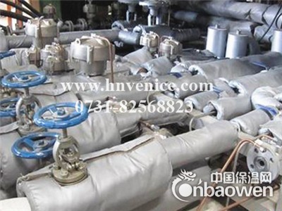 聊城济南德州滨州威耐斯V300柔性可拆卸阀门保温衣