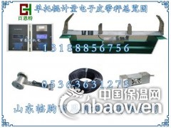 PL3000微机自动控制配料系统 工控微机系统PL3000图3