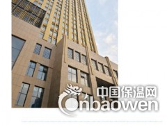 炫彩石平面保温板  轻薄保温易施工——泰昌节能图2