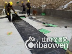 渗透反应粘交叉膜高分子湿铺防水卷材图2