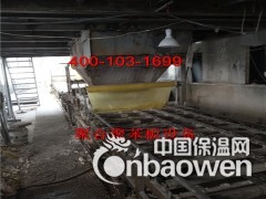 全自动生产设备聚对亚苯基保温板出售定做流水线图2