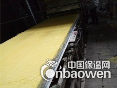 自制全自动生产线出售   可定做流水线 生产聚对亚苯基保温板图2