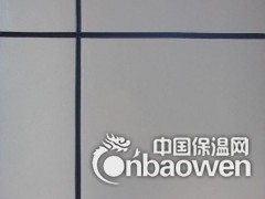 多乐士氟碳漆图2