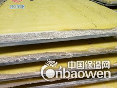 聚对亚苯基防火保温板生产设备   全自动生产流水线图3