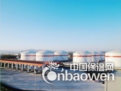 多乐士专业油霸面漆389图3