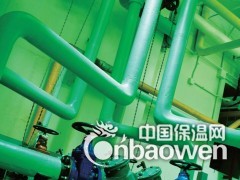 多乐士专业油宝面漆4406图3