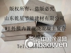 供应WJ外模内置现浇混凝土复合保温模板图2