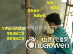 聚合物水泥防水砂浆添加剂（5Kg装）图2