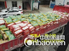 广东彩色填缝剂厂家广东填缝剂品牌图2