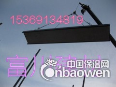 浙江咨询钢骨架轻型板（屋面板）价格/选富川建材图2