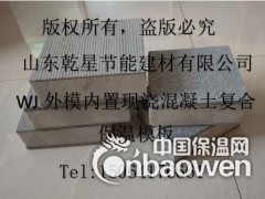 WJ一体化复合保温模板图2