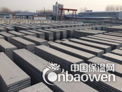 WJ一体化复合保温模板图3