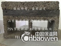75%节能新品 HX自保温砌块图2