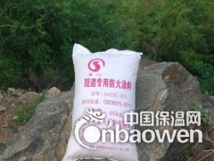 河北著名隧道防火涂料生产厂家图3