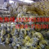 玻璃纤维保温棉批发（图）