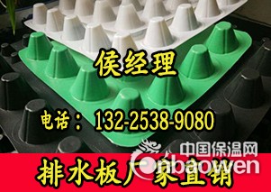 2公分排水板