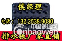 塑料防护排水板