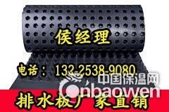 塑料凸片排水板
