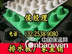 屋顶花园排水板图3