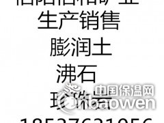 河南厂家直销闭孔珍珠岩 膨胀珍珠岩 农业珍珠岩质量好价格低图2