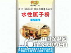 桂林腻子粉 广西耐水防霉腻子粉厂家图3