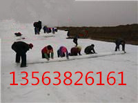 邢台对虾养殖防渗膜厂家销售