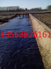 天津蓄水池防渗膜