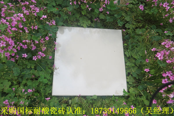 中冠牌烟囱内衬耐酸砖低价供应陕西省铜川市