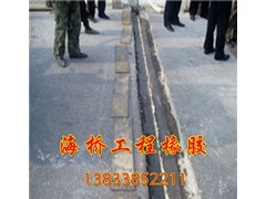 TST弹塑体桥梁伸缩缝批发 GTF碎石伸缩缝 舔屏价图2