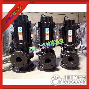 排污泵,QW潜水排污泵,立式排污泵,污水潜水泵