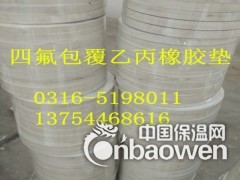常州四氟包覆垫-常州反应釜密封垫-冷凝器包覆垫-F4包覆垫图2