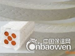 硅胶芯白四氟盘根(盖舱专用)图3