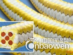 聚四氟乙烯单硅胶芯/多硅胶芯盘根系列密封填料图2