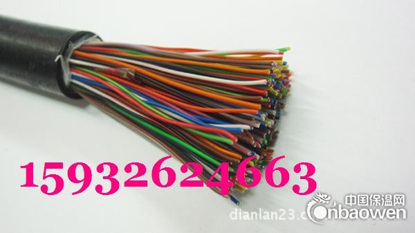 大对数镀锌铁皮电缆HYAT23