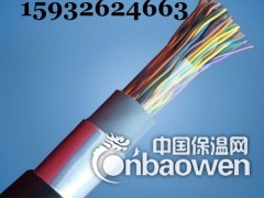 RS-485 2X1.0 RS-485通讯电缆图2