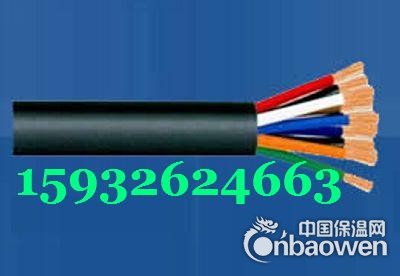 阻燃电缆ZRA-BVP价格