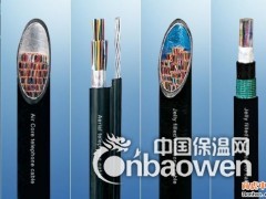 DCS电缆|本质安全电路用计算机屏蔽电缆IA-DJYPVP图2