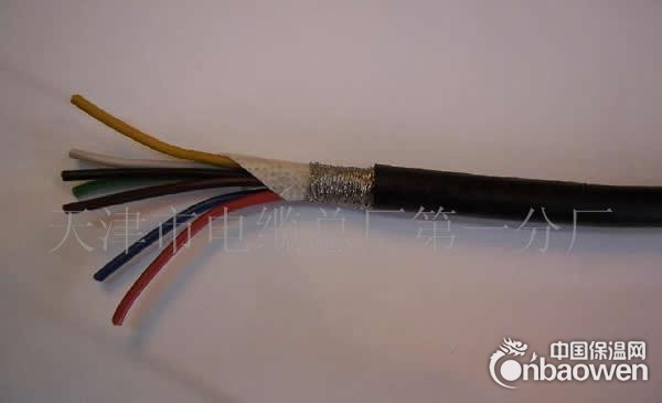 80*2*0.8 电缆规格 CPEV-S 通信电缆