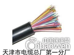 瓦丝监控探头线_矿用防爆电话线MHYVRP