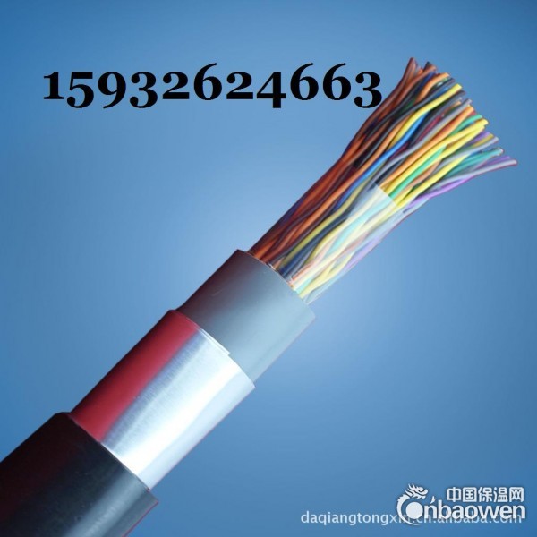 SYV 75-2-1*16电缆，16芯两兆线，中继电缆