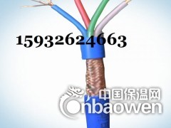 BAYJYP3本安屏蔽電纜生產廠家