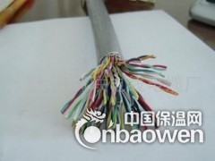 NH-BAYJYP3耐火本安電纜