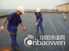 北京顺义区专业屋顶防水楼顶防水公司图2
